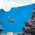Aquarium Filter Media Bags Fish Tank Media Mesh Filter Bags White Fine Mesh Filter Bags Reusable Bags with Zipper for Activated Carbon Resins Filt...