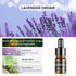 Ceeniu Essential Oils Set - F21 Essential Oils Refill for Car Diffuser - Can be Used for 3 Months - 12ml?3pack?...