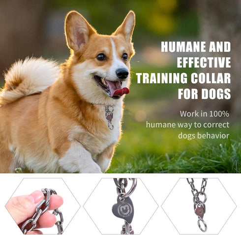 Stainless Steel Collars, Dog Training Chain Collar with Swivel, for Medium Large Giant Breed(3.0MM, 16IN 20lb-30lb)...