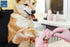 Dog Nail Filer, Professional Nail Grooming Tool, Dog and Cat Nail Files, for Smoothing Rough Edges of Pet’s Nails, Best Nail Filer for Small/Large...