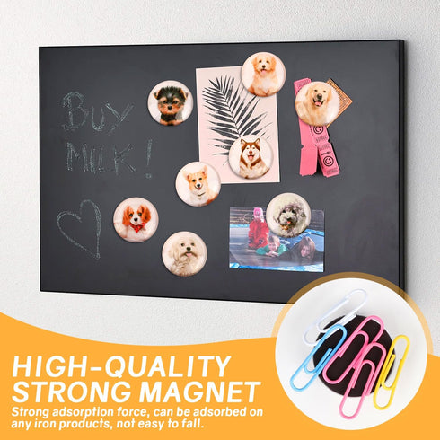 Glass Strong Animals Refrigerator Magnets,12 Pcs Decorative Magnets for Fridge Lovely Decor for Home Kitchen Office Whiteboard (Dog Refrigerator M...