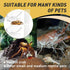 2 Packs Hermit Crab Water Tank - Ideal Hermit Crab Pool and Tank Combination - Hermit Crab Water Tank with Cuttable Climbing Ramp...