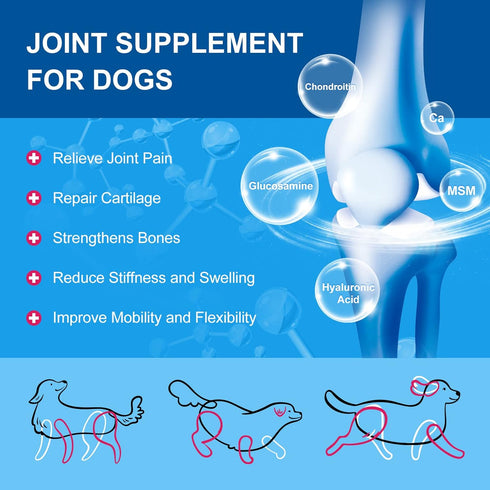 Dog Vitamins Powder, Probiotics & Digestive Enzymes for Gut Health, Glucosamine & Chondroitin & Omega 3, Complete Supplement for Homemade Dog Food...