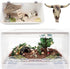 Bearded Dragon Tank Decor Accessories, Resin Cattle Skull Reptiles Hideouts Decorations, Decor Statue for Fish Aquarium Cave Landscape...