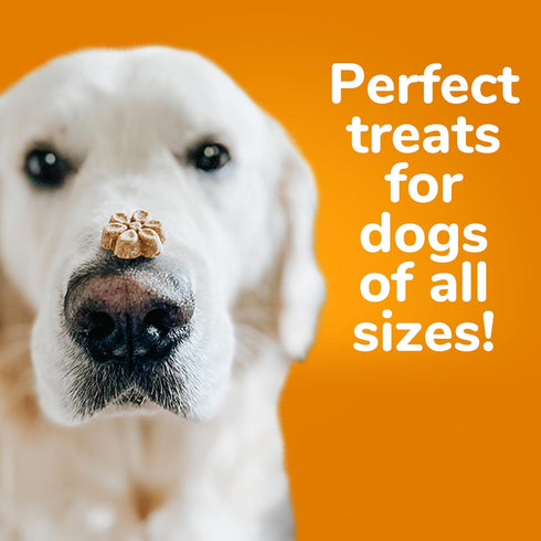 Fruitables Baked Dog Treats – Healthy Low Calorie , Free of Wheat, Corn and Soy – Pumpkin and Blueberry – 12 Ounces...
