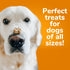 Fruitables Baked Dog Treats – Healthy Low Calorie , Free of Wheat, Corn and Soy – Pumpkin and Blueberry – 12 Ounces...