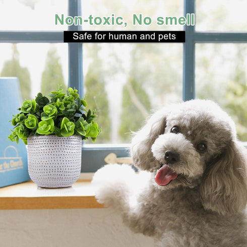 Artificial Lysimachia Plants in Ceramic Planter Cute Fake Succulent Flowers Potted for Home Office Table Desk Decor Living Room Bathroom Bedroom S...