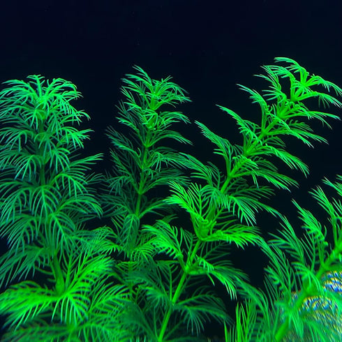 Artificial Aquarium Plants Plastic, Fake Plants for Aquarium Fish Tank, Realistic Plant 10PCS...