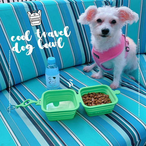 Collapsible Dog Bowl, Double Silicone Pet Bowl, Outdoor Travel Dog Cat Food and Water Bowl, Foldable and Expandable Dog Bowl, 2 in 1 Portable Pet ...