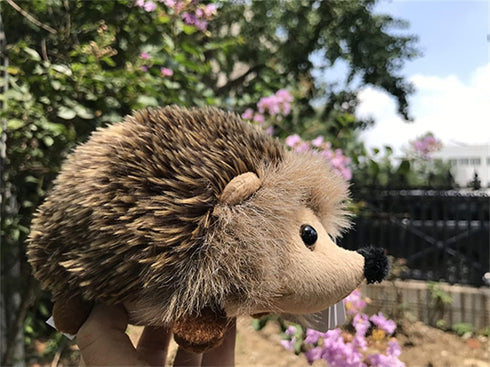 Lifelike Hedgehog Plush Stuffed Animal Toy Hedgehog Cute HedgehogAnimal Model (15CM)...