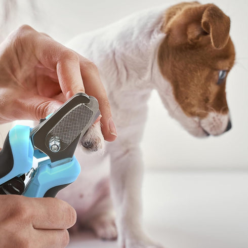 Fida Dog Nail Clippers with LED Light, Dog &Cat Nail Trimmer with Safety Guard & Nail File, Razor Sharp Blades, Pet Nail Trimmer/Clipper with Comf...