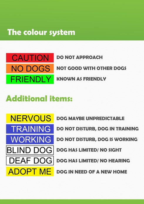 FRIENDLY Green Color Coded 2 4 6 Foot Padded Dog Leash (Known As Friendly) PREVENTS Accidents By Warning Others of Your Dog in Advance (Standard L...