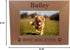 Custom Best Dog Ever - Laser Engraved Natural Alder Wood Hanging/Tabletop Wooden Picture Photo Frame - Add Your Dogs Name (4x6-inch Horizontal)...