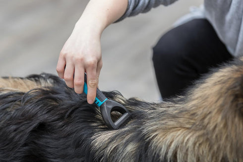 TRIXIE Pet Deshedding Undercoat Rake, For Cats and Dogs, Detangle and Thin 2" x 7" (5x18cm)...