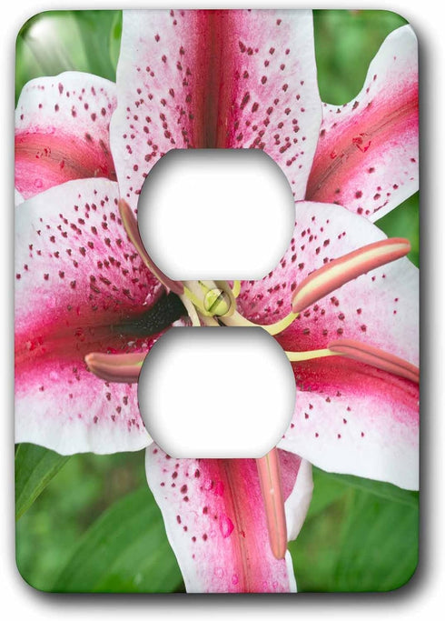 3dRose lsp_209387_6 USA, Washington, Bellevue, Lily 2 Plug Outlet Cover...