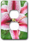 3dRose lsp_209387_6 USA, Washington, Bellevue, Lily 2 Plug Outlet Cover...