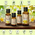 Ylang-Ylang Essential Oil 1.7 Fl Oz - Cananga Odorata - Madagaskar - 100% Pure & Natural Ylang Ylang Oil Best for Aromatherapy - Good Sleep - Beau...
