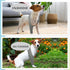 ROZKITCH Dog Surgery Recovery Sleeve Front Right Left Leg, Pet Prevent Licking Wound Elbow Brace Protector, Dog Recovery Suit Cone Collar Alternat...