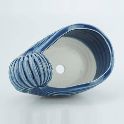 VanEnjoy 5" Ceramic Succulent Pot, Cute Ocean Blue Seashell Series, Conch Shaped Cactus Pot Planter, Flower Pot, Pottery Bonsai Pot, Cute Shell So...