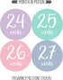 Pregnancy Weekly Belly Growth Stickers, 36 pcs - Purple Pink, Matte Finish, Cloth Surface, for Maternity Photo Sessions & Keepsakes...