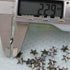 Beadsland Hotfix Iron On, Flat Back Stars Studs - 1/4" Flatback Glue on Studs 500pcs (Gun Grey, 8x8mm)...