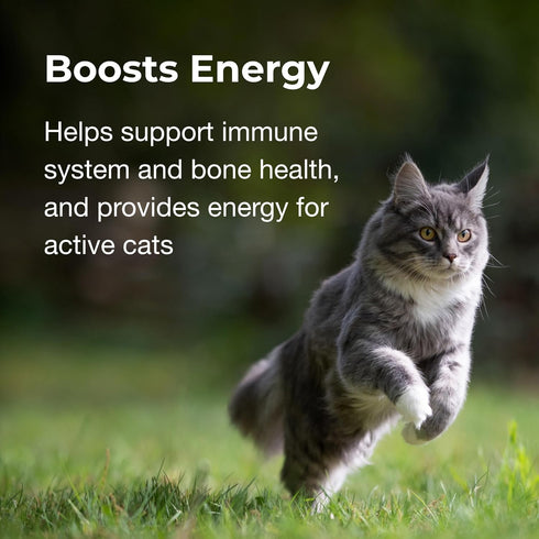 Pet-Ag Vitamin & Mineral Gel Supplement for Cats - 3.5 oz - Provides Basic Daily Vitamins & Minerals for Cats 4 Months and Older - Easy to Digest...