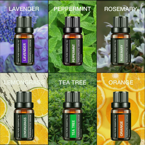 Essential Oils Sets Pure Oils kit- Top 6 Aromatherapy Oils Gift Set-6 Pack, 10ML(Rosemary, Lavender, Lemon Grass, Orange, Peppermint, Tea Tree)...