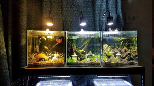 LED Aquarium Light - Freshwater Fish Tank Light Vivarium Terrarium Spotlight 3 Colors 3000K 4000K 6000K Cool Warm White for Planted Fish Tank (3 C...