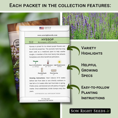 Sow Right Seeds - Medicinal Herb Seed Collection for Planting - Roman Chamomile, Echinacea, Lavender, St. John’s Wort & Hyssop - Non-GMO Heirloom ...