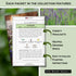Sow Right Seeds - Medicinal Herb Seed Collection for Planting - Roman Chamomile, Echinacea, Lavender, St. John’s Wort & Hyssop - Non-GMO Heirloom ...