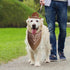 Dog Cowboy Hat Dog Cowboy Costume for Small Pet Dogs Cat Cowboy Hat with Bandana Scarf Set Party Accessories (Brown)...