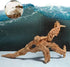 Aquarium Driftwood Natural Aquarium Decoration Tree Trunk with Rockery View Driftwood Landscaping Decoration Dead Wood Root Decor Hideouts (Random...