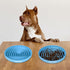 RICHIE Slow Feed Dog Bowl, Anti-Gulping, Durable Silicone, Safe for Small to Large Breeds, Blue...