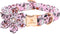 Lionheart glory Halloween Dog Collars with Flower Fall Dog Collar Pink Collar Flowers Girl Boy Pet Collar for Medium Dogs Duty Adjustable Flower D...