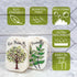 10PACK Natural Plant Based Biodegradable Eco-Friendly Cellulose Dish Sponges: Non Scratch, Multi-Purpose Kitchen,Household,Bathroom Cleaning Spong...