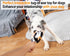 Squeaky Stuffed Dog Toys with Rubbery Belly, Stuffed Animal Toys for Chewers, Gum Massage Soft Puppy Chew Teething Toys to Keep Them Busy, Durable...