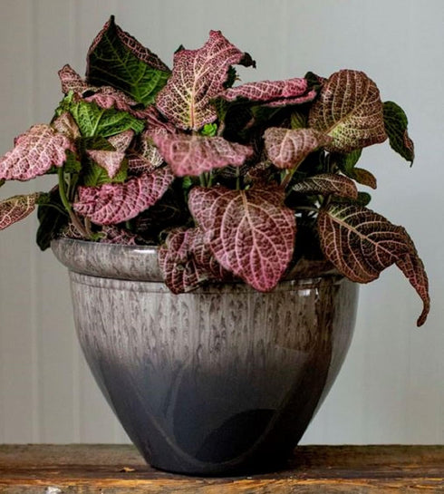 The HC Companies 9 Inch Pizzazz Decorative Round Planter - Lightweight Premium Resin Plant Pot with a Ceramic Look for Indoor Outdoor Use, Foggy G...