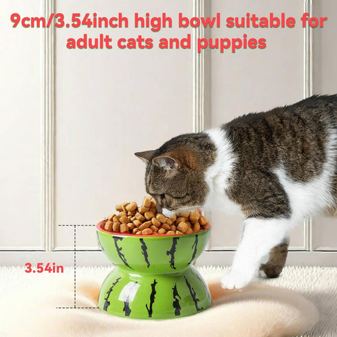 Hamiledyi Ceramic Raised Cat Bowl 5In Elevated Wide Cat Bowl for Food and Water Anti Vomiting Tilted Pet Feeder Dish for Indoor Cats and Small Dog...