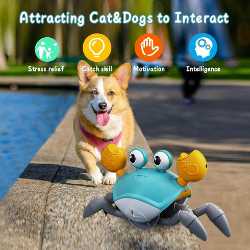 Dog Toys Escaping Crab Crawling Dog Toy with Music Control & Lights, Dancing Crab Dog Toy Obstacle Avoidance Interactive Fun Toys for Puppy/Small/...