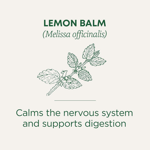 Traditional Medicinals Organic Lemon Balm Herbal Tea, Calming and Supports Digestion, (Pack of 1) - 16 Tea Bags...