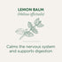Traditional Medicinals Organic Lemon Balm Herbal Tea, Calming and Supports Digestion, (Pack of 1) - 16 Tea Bags...