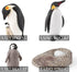 4PCS Penguin Lifecycle Antarctica Penguin Figurines Toy Playset Arctic Penguins Early Educational Toys Cake Decoration Christmas Birthday Party Su...
