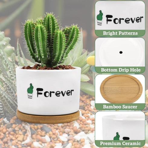 3.2'' Succulent Pots, Mini Succulent Pots Cute Succulent Pots with Woonden Tray Small Ceramic, Girls Women Birthday Gifts Plant Lovers Housewarmin...