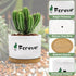 3.2'' Succulent Pots, Mini Succulent Pots Cute Succulent Pots with Woonden Tray Small Ceramic, Girls Women Birthday Gifts Plant Lovers Housewarmin...