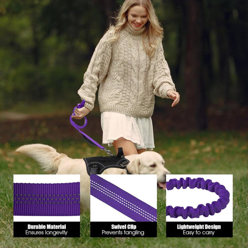 BUMBIN 6Ft Dog Leash Large Dogs, Bungee Dog Leash with 2 Handles, Heavy Duty Dog Leashes for Medium Small Dogs, No Pull Shock Absorbing Dog Leash ...
