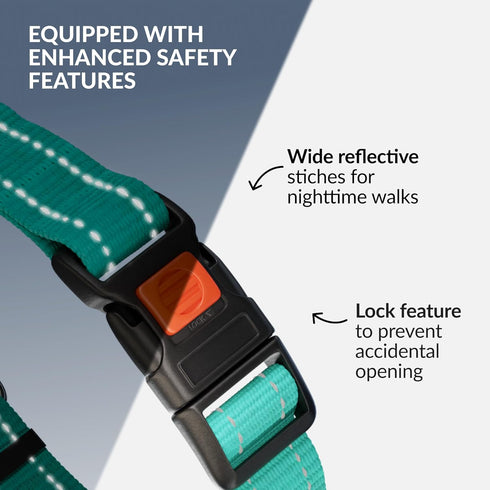 CollarDirect Martingale Dog Collar with Stainless Steel Chain and Quick Release Buckle - Reflective Collar for Large, Medium, Small Dogs - Mint Gr...