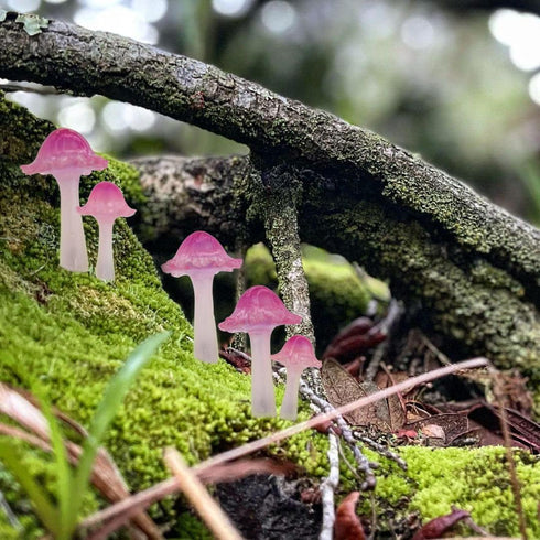 Mini Mushroom Figurines, Tiny Mushrooms Miniature Mushrooms Fairy Garden Accessories Terrarium Decor Micro Resin Mushroom Fairy Garden Decor Mushr...