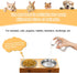 5 PCS Cat Bowls Whisker Friendly, Shallow Wide Flat Cat Food Bowls Stainless Steel,Metal Cat Dishes Whisker Fatigue Relief,Replacement Basic Cat P...