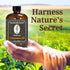 Premium Cinnamon Oil 4 Fl Oz with Huge Dropper and Sprayer - 100% Pure, Natural & Therapeutic - Cleaning, DIY Soap, Diffuser, Aromatherapy, Garden...