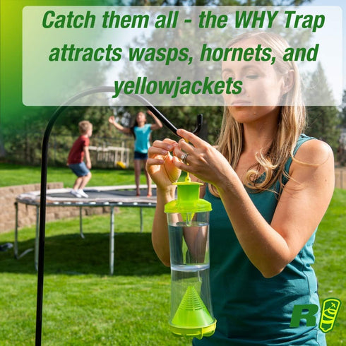 RESCUE! Non-Toxic Wasp, Hornet, Yellowjacket Trap (WHY Trap) Attractant Refill - 2 Week Refill - 3 Pack...